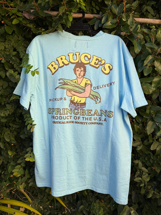 Spring Beans Tee - Aquatic