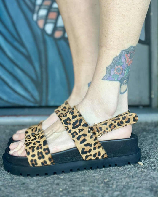 Unaid - Pony Leopard