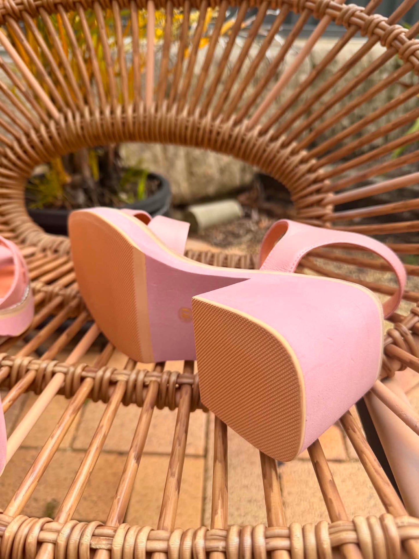 Jadera - Pretty Pink