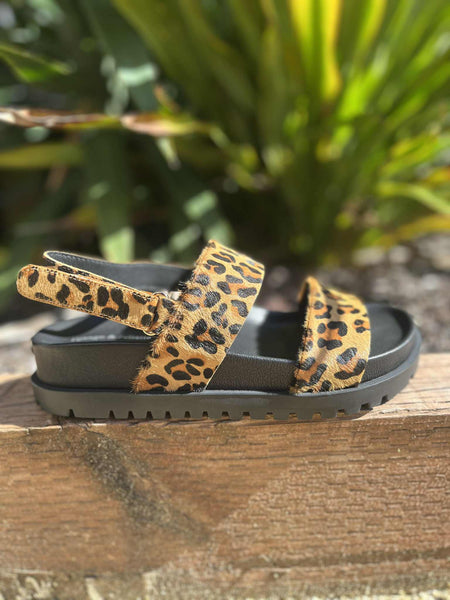Unaid - Pony Leopard