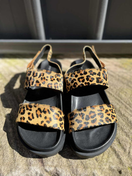 Unaid - Pony Leopard