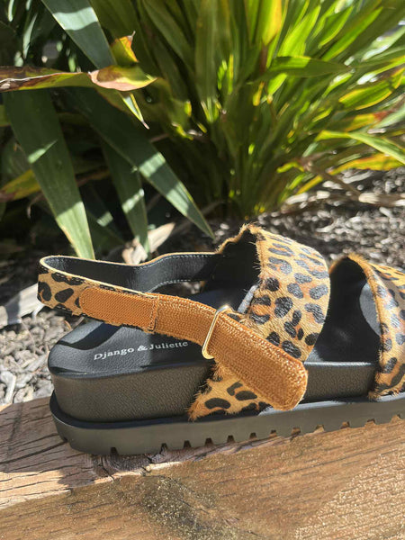 Unaid - Pony Leopard