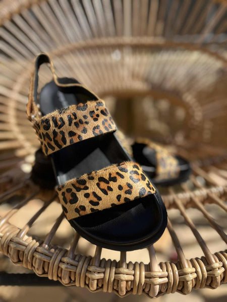 Unaid - Pony Leopard