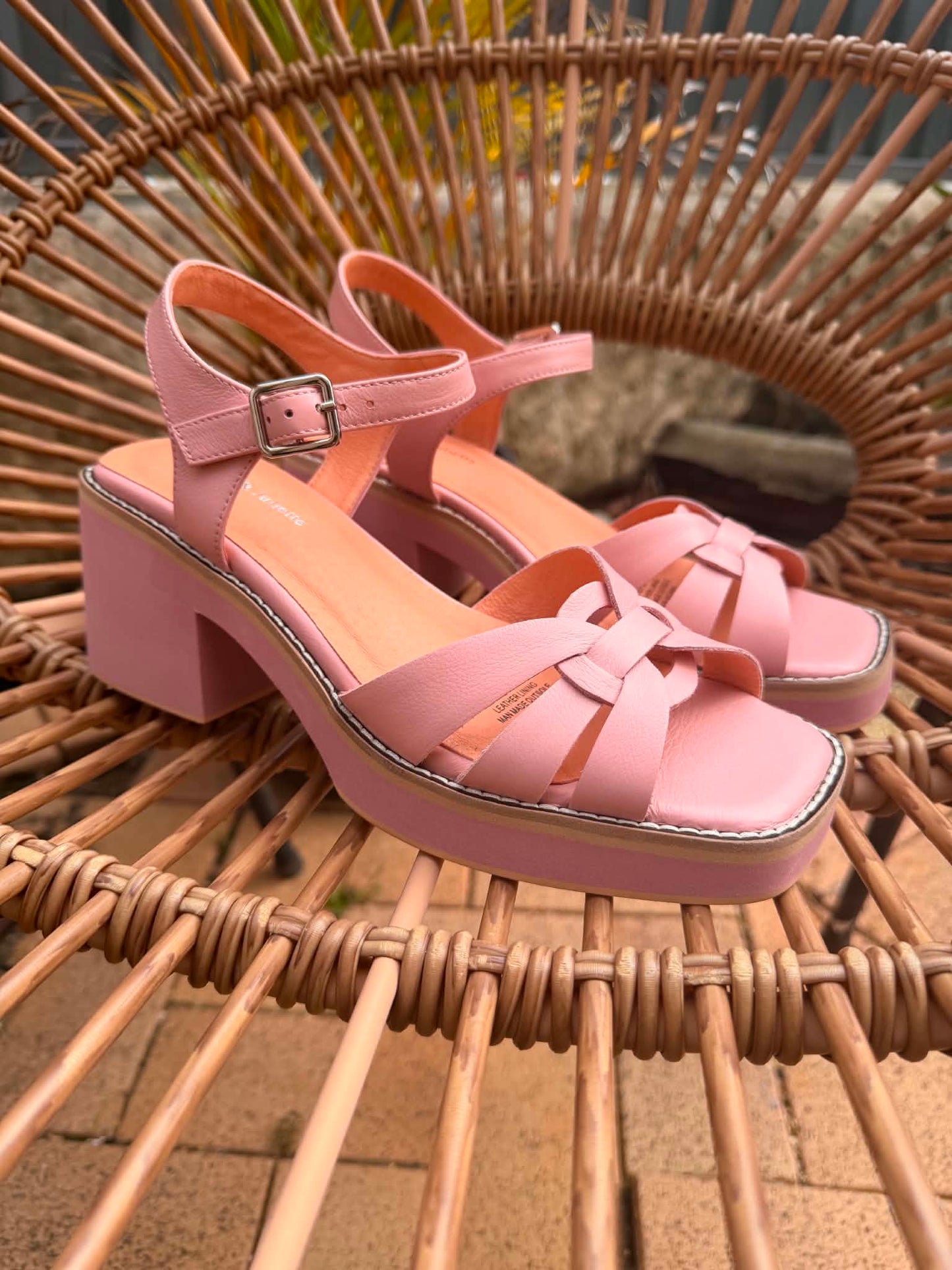 Jadera - Pretty Pink