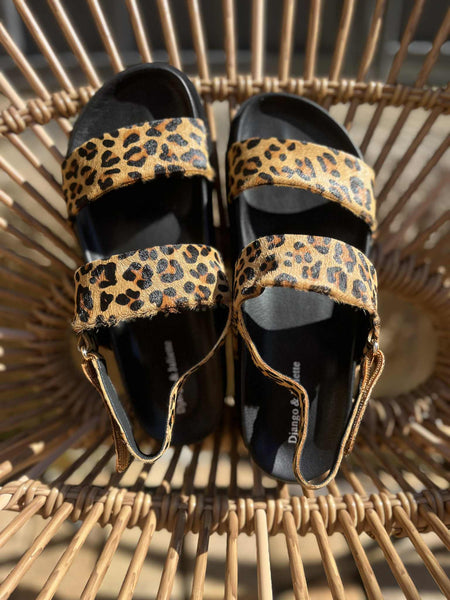Unaid - Pony Leopard