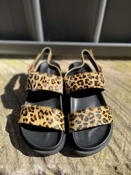Unaid - Pony Leopard