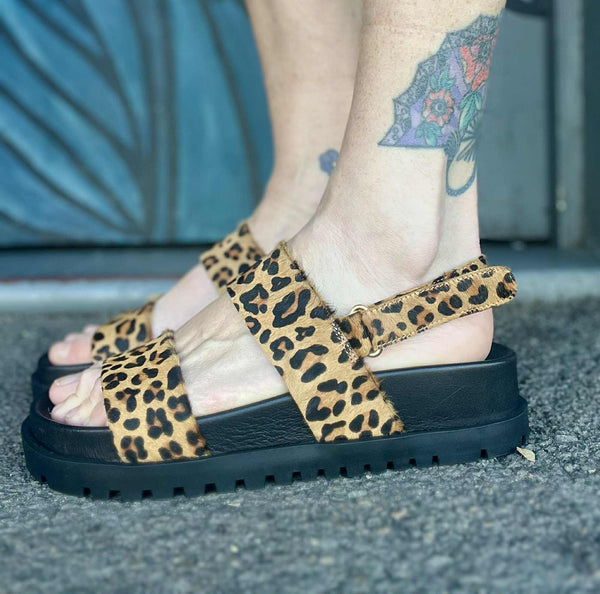 Unaid - Pony Leopard