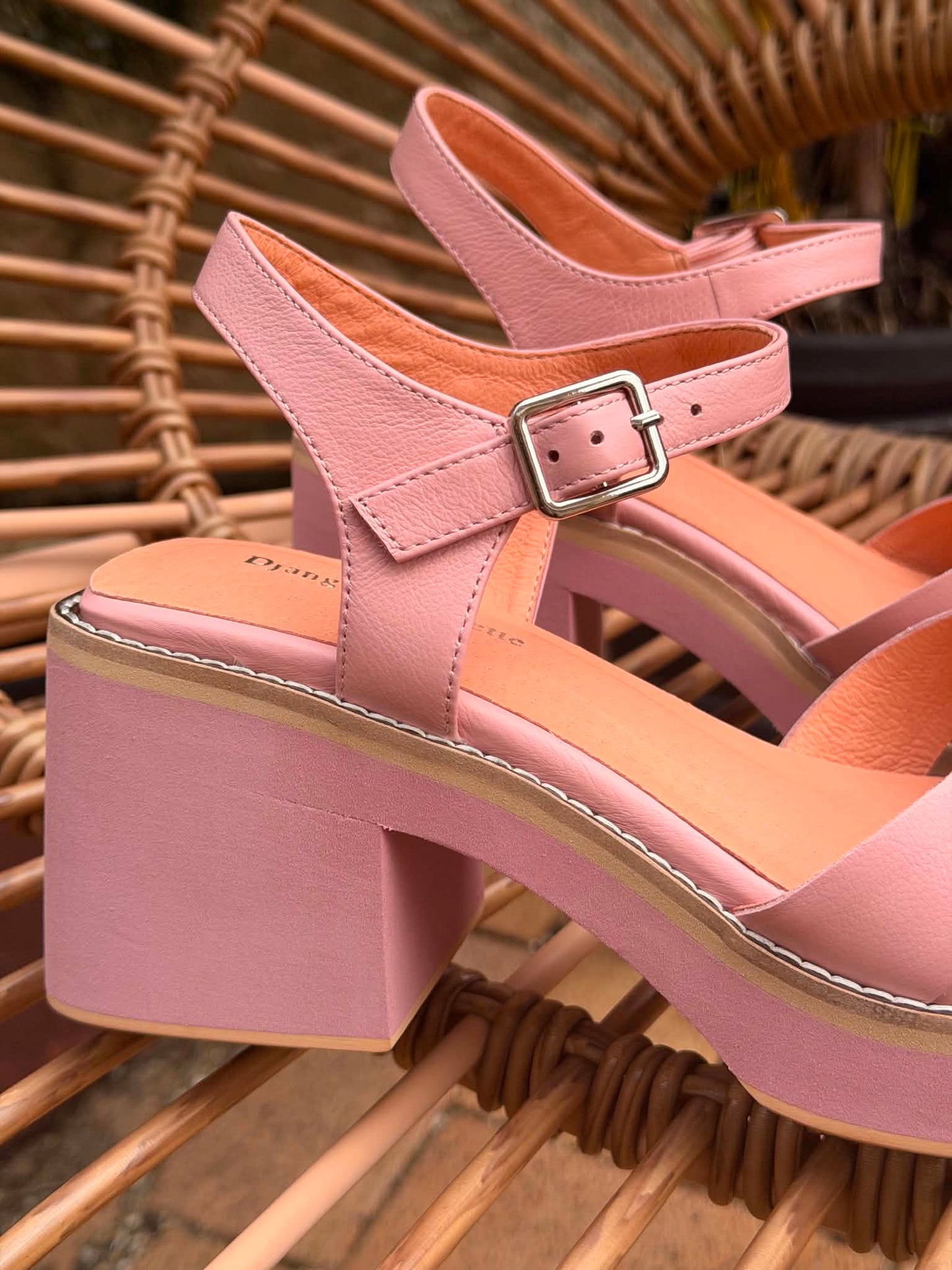 Jadera - Pretty Pink